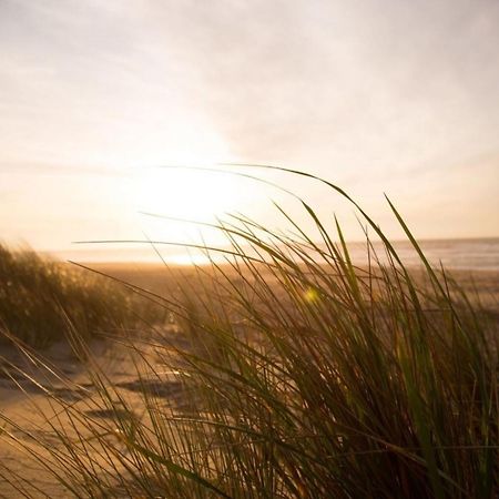 Kleine Nordseewelle Ohne Hund Norden Luaran gambar