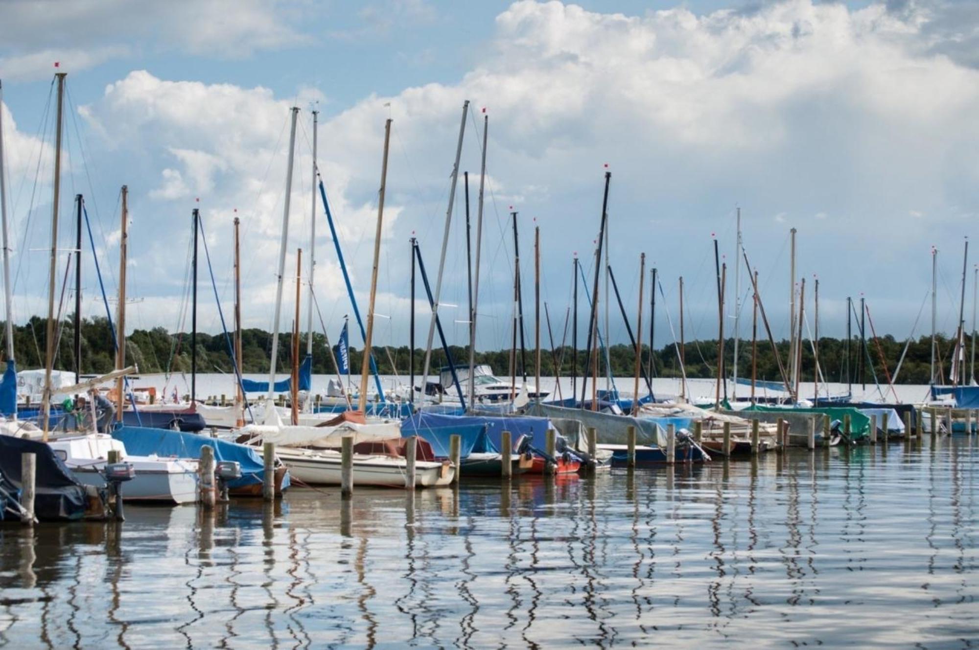 Kleine Nordseewelle Ohne Hund Norden Luaran gambar